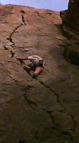 ali_green_monsterx.jpg (17380 bytes)