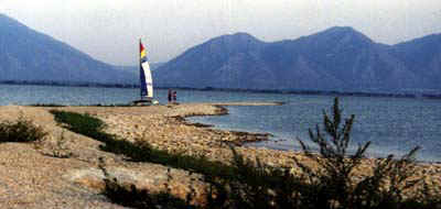 Bird Island south east peninsula