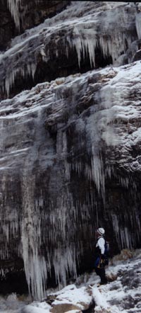 bveilfangs.jpg (28742 bytes)