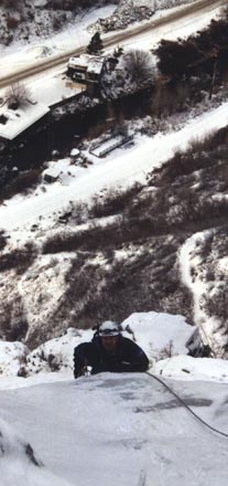 bveilshnvert.jpg (28612 bytes)