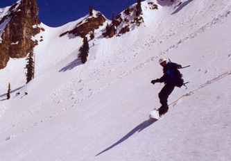 cascboardx.jpg (39605 bytes)