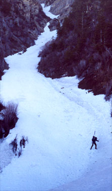 cascup1.jpg (24274 bytes)