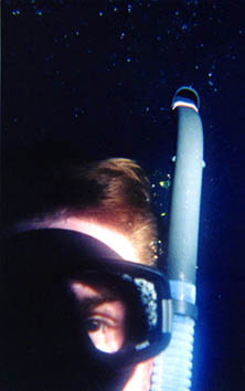 divehardy.jpg (13964 bytes)