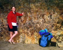 dumestace.jpg (20597 bytes)