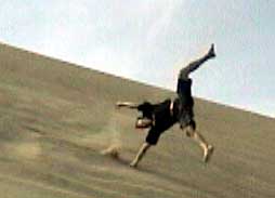 dunescart2.jpg (7678 bytes)