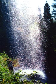 gloryfalls.jpg (27344 bytes)