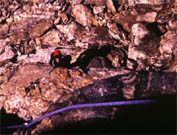 grandcp1.jpg (17156 bytes)