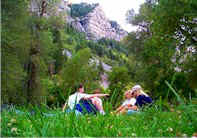 hacwspark.jpg (29507 bytes)