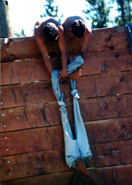 ippants.jpg (34488 bytes)