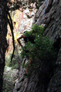 "I'm always picking up after you!"