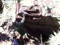 Take two of these for breakfast daily for strong muscles