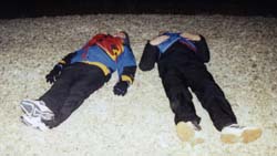 janbirdcstwy.jpg (11840 bytes)