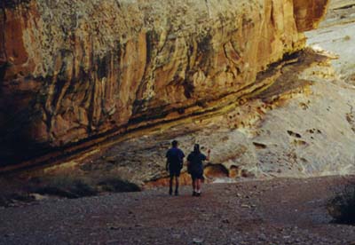 kss.jpg (67002 bytes)