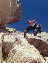 lonecbear.jpg (16827 bytes)