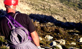 lonecgoat.jpg (23686 bytes)