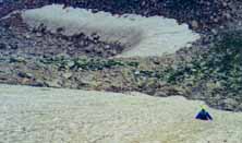 loneglisadeb.jpg (6367 bytes)