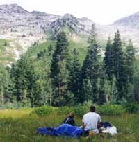 loneham.jpg (7631 bytes)