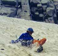 loneshaglis.jpg (6385 bytes)