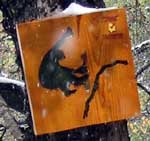 mxbasachimps.jpg (12833 bytes)