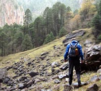 mxbasagrn.jpg (21675 bytes)