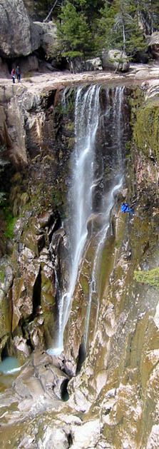 mxcuschr4.jpg (53000 bytes)