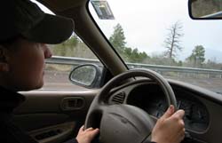 mxnm.jpg (11766 bytes)