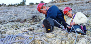 olycc2.jpg (22905 bytes)