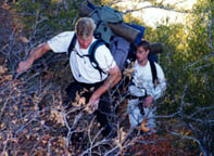 olycc5.jpg (19023 bytes)