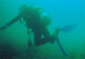 pbandrew.jpg (6258 bytes)