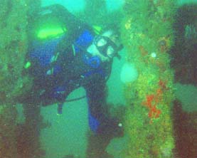 pbswreck.jpg (13564 bytes)