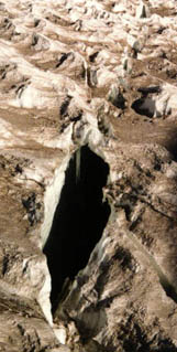 raincrev2.jpg (22480 bytes)