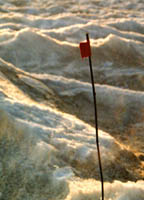 rainwandx.jpg (12779 bytes)