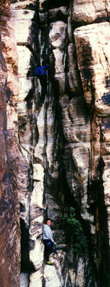 redgully.jpg (33751 bytes)