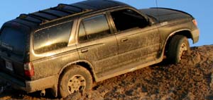 sd4runner1.jpg (14822 bytes)