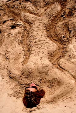sdmermaid.jpg (35260 bytes)