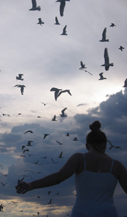 Amy faces the rising bird cloud