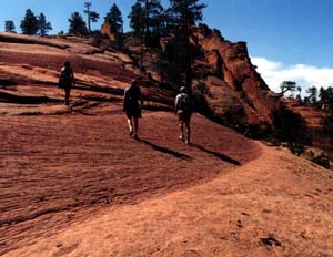 The wrong way...maybe.