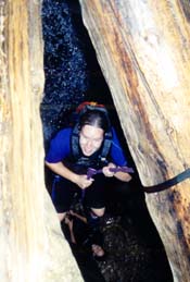 Rapping down a 20' waterfall