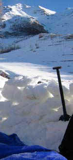 timpbser.jpg (11564 bytes)