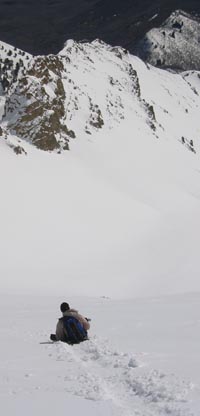 timpjglisgnsu.jpg (14234 bytes)