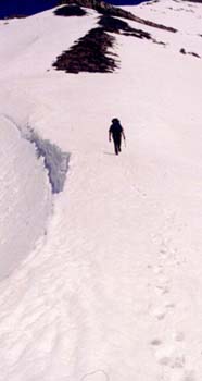 timpr2.jpg (23823 bytes)