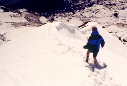 timps4.jpg (52161 bytes)