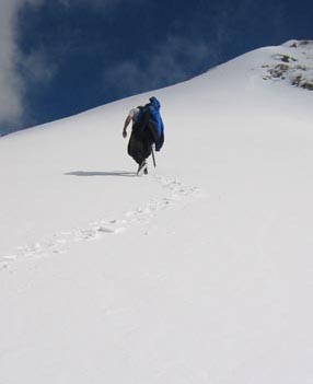 timpshup.jpg (11254 bytes)