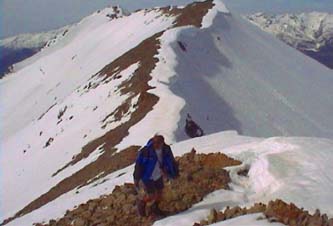 timpssum.jpg (37347 bytes)