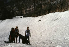 timpsumglac.jpg (13009 bytes)