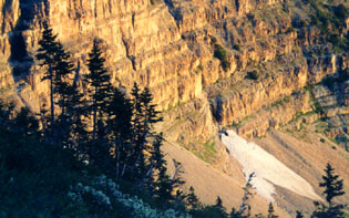 timpsumsilh.jpg (37024 bytes)