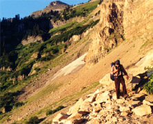 timpsumstef.jpg (27269 bytes)