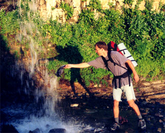 timpsumwf1.jpg (52883 bytes)