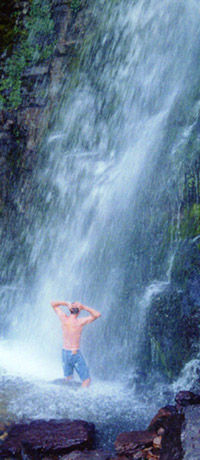 timpsumwf2.jpg (38352 bytes)