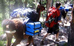 uintandypaack.jpg (19284 bytes)